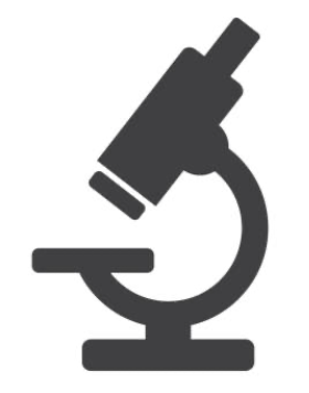 The Small World Blog